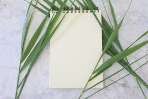 家計簿アプリを使ってお金を賢く管理する方法は？