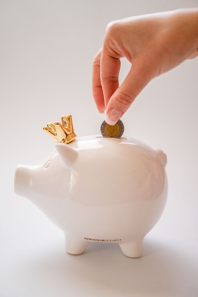 ズボラ貯金の成功法則とは？まとめて解説！