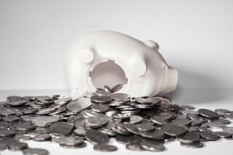 ズボラ貯金で収入を増やす方法は？