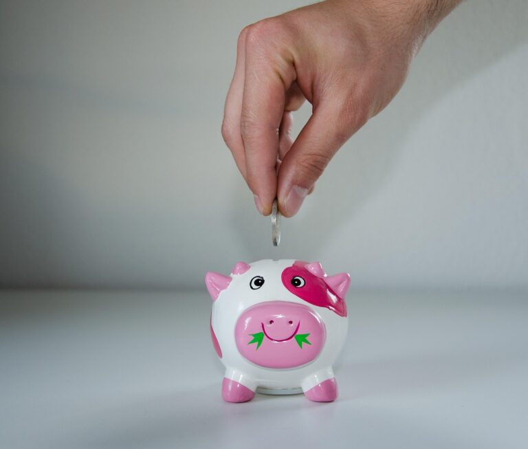 ズボラ貯金で収入増加は本当に可能？